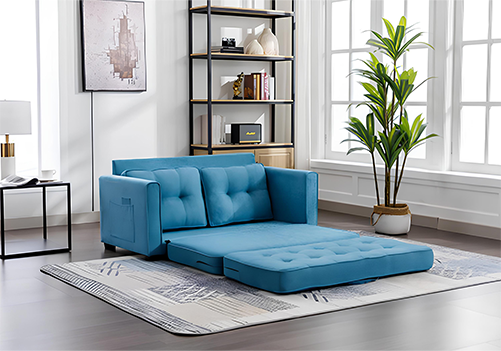 Sofa Cum Bed on rent